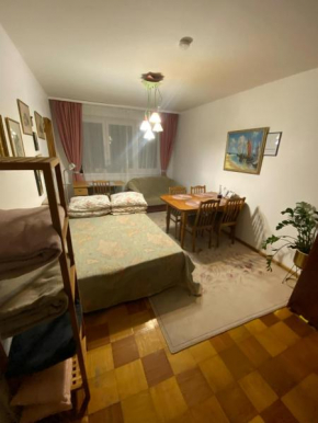 Įdomus būstas ant Neries skardžio Vilnius